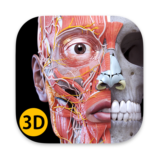 Anatomy 3D Atlas icon
