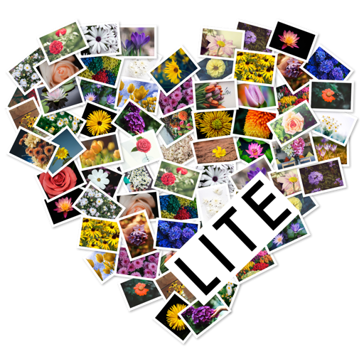 FigrCollage 2 Lite Edition icon