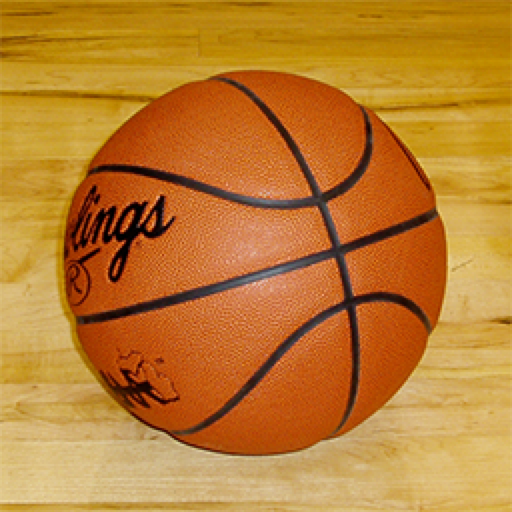 PlayMaker Pro Basketball icon