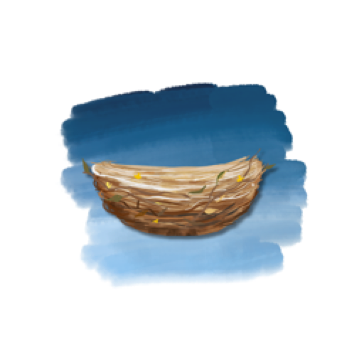 SkyNest icon