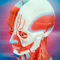 3B Smart Anatomy icon