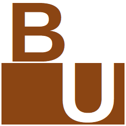 Bible Underground icon