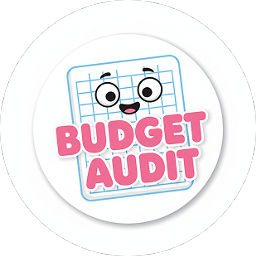 Budget Audit icon