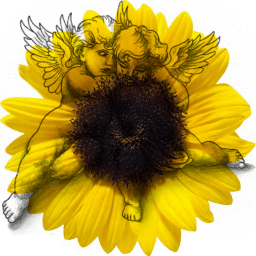 Genealogical tree 3D icon